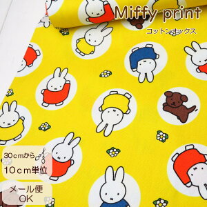 n ~btB[ 108cmЁywzY RbgIbNX~btB[(2025-A) y10cmPʁzy̎qzynz