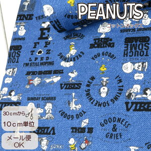 Xk[s[ n LN^[yEwzRbgIbNXSN75th ObhlX{ (823597) PEANUTS SNOOPYs[ibcynz̑ Gv wObY