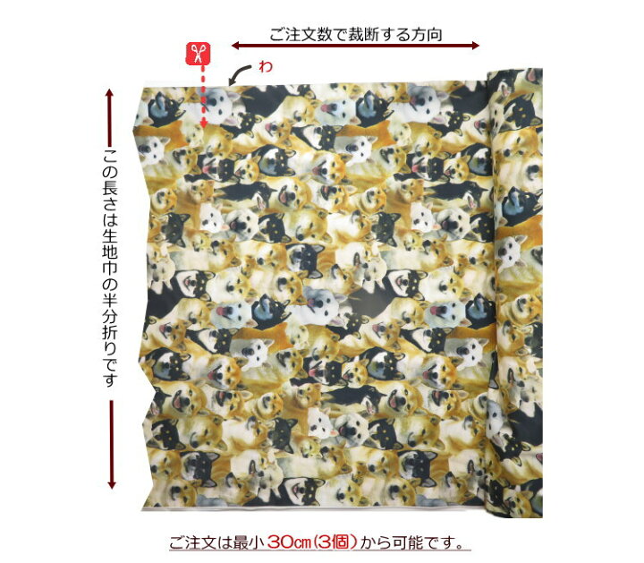 楽天市場】犬柄 生地 115cm巾【10cm単位】コットンオックス≪みっちり 