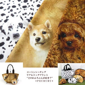 150cmRbgV[`O AhbOvggǂ̂񂿂񂪍DHh (31000)CNWFbgvg