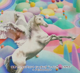 楽天市場 レインボー ペガサスの通販 楽天市場 レインボー ペガサスの通販