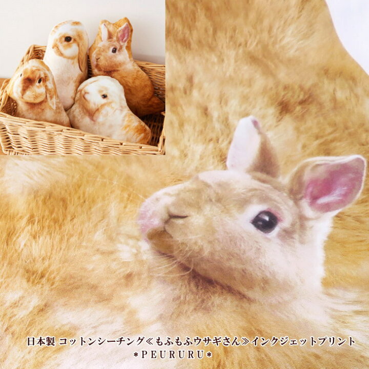 楽天市場】1柄約50cmコットンシーチング リアルプリント≪もふもふ 