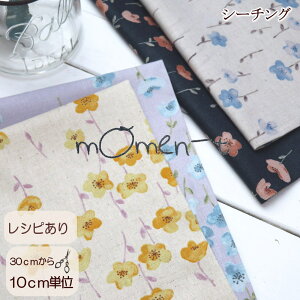 108cmЁy10cmPʁzԕ n Đn Rbgl V[`O momen|t|[`Jv~A\tgH(1293j[g ĕ  s[X q | nhCh z 