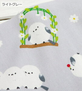 V}GiK n 108cm  n RbgIbNXsRR V}GiKt(51104)y10cmPʁz{obO NbV Gv bXobO ̑ В