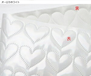 y݌Ɍ菈IzLeBO n 68cm Gi n[g̃s\jbNLgobO CN|[` |VFbg  m n[gLg