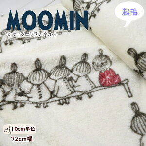 N n 70cm 2025N ӂ炩`}CNtlsg~CE[~t(1245){A n ʋN Xk[h ѕz uPbg