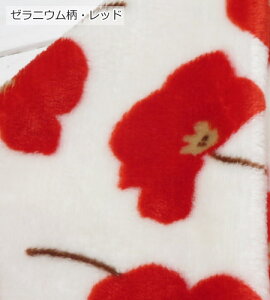 {A n N 70cm ӂ炩`tlst~t(1673)y10cmPʁz{A ʋN Xk[h ѕz uPbg  ybgxbhC`S|ԕ|