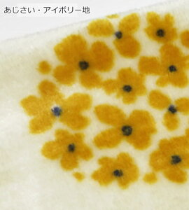 {A n N 70cm ӂ炩`tlst~t(1673)y10cmPʁz{A ʋN Xk[h ѕz uPbg  ybgxbhC`S|ԕ|