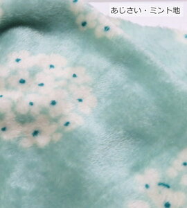 {A n N 70cm ӂ炩`tlst~t(1673)y10cmPʁz{A ʋN Xk[h ѕz uPbg  ybgxbhC`S|ԕ|