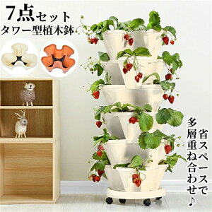 y7_Zbgz Aؔ A̓|bg C`S v^[ ^[^ ƒ؉ ؍͔| LX^[t gݍ킹 u ̐Aؔ wdˍ킹 Tj[^X A ϗtA ʋC z