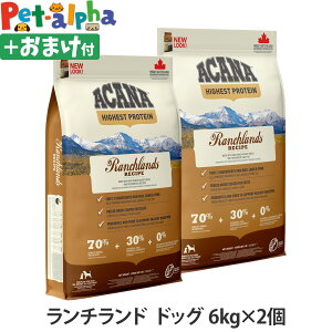 yj[AύXzAJi nCGXgveC `hhbOVs 6kg hbNt[h sgp OCt[ 