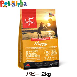 �I���W�� �p�s�[ 2kg �h�b�O�t�[�h �� ORIJEN �h�b�N �h���C �q��