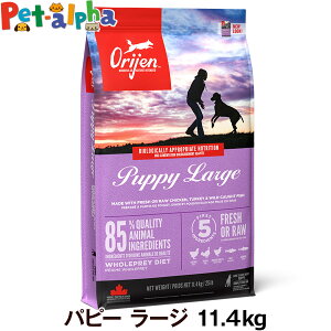 �I���W�� �p�s�[���[�W 11.4kg �h�b�O�t�[�h �� ��^�� ORIJEN �h�b�N �h���C �q��