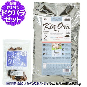 �L�A�I�� KiaOra �h�b�O�t�[�h �������T�[���� 9.5kg �{���Y���Y�������Ȃ̂���� �� �h�b�N �O���C���t���[ �����s�g�p �S�N��