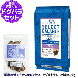 セレクトバランス アダルト ラム 小粒 7kg ＋お試し国産お魚おやつ 約20g 低脂肪 成犬 ヘルシーフード