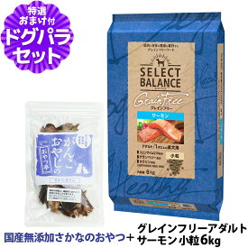 セレクトバランス グレインフリー アダルト サーモン 小粒 6kg ＋お試し国産お魚おやつ 約20g ドッグ 穀物不使用