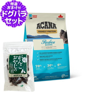 yj[AύXzAJi nCGXgveC pVtBJhbO 2kg{YW[L[20g ACANA hbOt[h S SNp