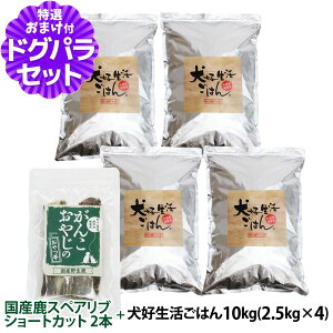 hbOt[h Y Y D͂BI[Xe[W 10kg+ỸXyAu V[gJbg 2{