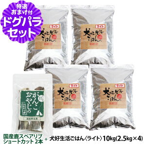 hbOt[h Y Y D͂BCg 10kg+ỸXyAu V[gJbg 2{