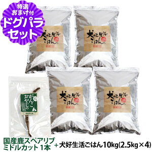 hbOt[h Y Y D͂BI[Xe[W 10kg+ỸXyAu ~hJbg 1{