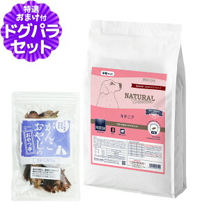 y2027N04bĝݗ`ɂ΂܂zi`n[xXg LhjA tPAp 6kg{YYȂ̂ hbOt[h Ö@H ^pN ჊ igE t