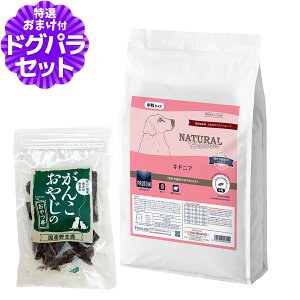 y2027N04bĝݗ`ɂ΂܂zi`n[xXg LhjA tPAp 6kg{YW[L[20g hbOt[h Ö@H ^pN ჊ igE t