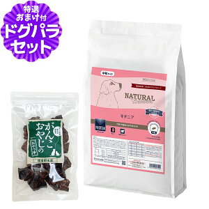 y2027N04bĝݗ`ɂ΂܂zi`n[xXg LhjA tPAp 6kg{YO15g hbOt[h Ö@H ^pN ჊ igE tÖ@H h