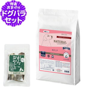 y2027N04bĝݗ`ɂ΂܂zi`n[xXg LhjA tPAp 6kg{ỸXyAu V[gJbg 2{ hbOt[h Ö@H ^pN ჊