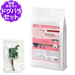 y2027N04bĝݗ`ɂ΂܂zi`n[xXg LhjA tPAp 6kg{ỸXyAu ~hJbg 1{ hbOt[h Ö@H ^pN ჊ 