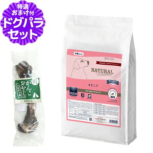 y2027N04bĝݗ`ɂ΂܂zi`n[xXg LhjA tPAp 6kg{YbO{[ 1{ MTCY hbOt[h Ö@H ^pN ჊ igE