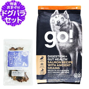 GO!S[ +̌NPA Ñ㍒ T[ 9.98kg{YYȂ̂  hbO t[h hbN X[p[t[h H@ IKb_   y _ q c ps[ 