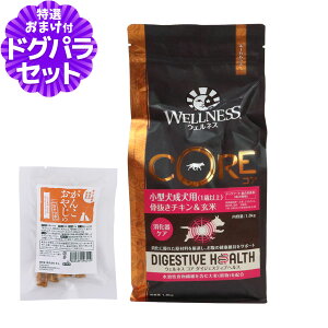 �E�F���l�X �R�A �_�C�W�F�X�e�B�u�w���X ���^�������p (1�Έȏ�)�������`�L�������� 1.8kg+���Y�����܌{�W���[�L�[(���T�C�Y)