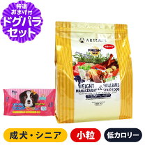 楽天市場】アーテミス ライトの通販