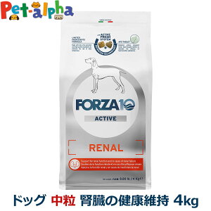 tHc@10 FORZA10 i[ANeBu ~fBA  4.0kg  tHc@10 ťNێ HÖ@H t S ჊ ^pN ANeBuC A_g  tHc@fBG`