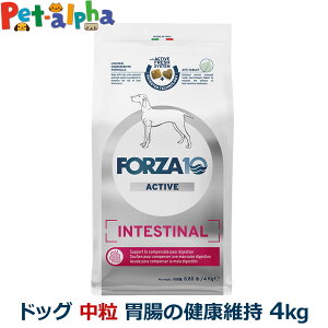 tHc@10 FORZA10 CeXeBiANeBu ~fBA  4.0kg  tHc@10 ݒ̌Nێ HÖ@H    r  ANeBuC A_g  tHc@fBG