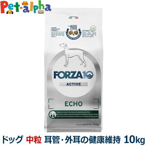 tHc@10 FORZA10 GR[ANeBu ~fBA  10kg  tHc@10 ǁEǑNێ HÖ@H  O jIC ANeBuC  A_g  tHc@fBG`