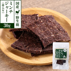  L  Y Y 񂱂₶̂ Y쐶 ~`W[L[ij 30g   ɂ WrG ^pN  gbsO 