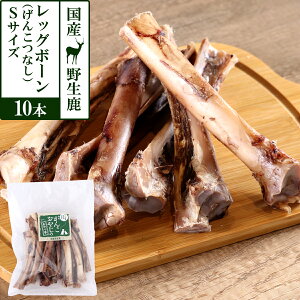   Y Y 񂱂₶̂ Y쐶bO{[ S(񂱂Ȃ10{)   WrG JVE J[  JVE ݂