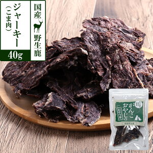  L  Y Y 񂱂₶̂ Y쐶W[L[ Xܓ WrG J[ Y  VJ   ybg hbO p