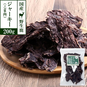  L  Y Y 񂱂₶̂ Y쐶W[L[ Xܓ WrG J[ Y  VJ   ybg hbO p