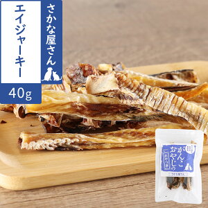 񂱂₶̂ GCW[L[ 40g  L  Y Y ybg hbO Lbg Lp p Lp