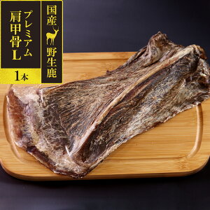   Y Y 񂱂₶̂ Y쐶 v~A b L 1{WrG J[ Y  VJ hbO f^PA