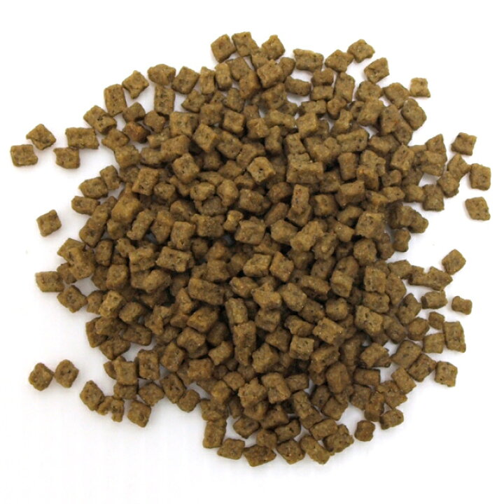 期間限定特別価格 ナチュラルチョイスチキン 玄米エイジングケア超小型犬用2kg Www Anavara Com 期間限定特別価格 ナチュラルチョイスチキン 玄米エイジングケア超小型犬用2kg Www Anavara Com
