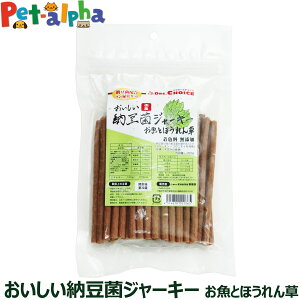 hN^[Y`CX [ۃW[L[ Ƃق|hbOt[h pi hbNt[h p p ̂   Mtg Ic W[L[ WbL[ ybg