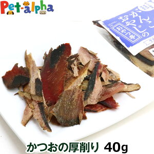  L  Y Y 񂱂₶̂ Y̌ 40g