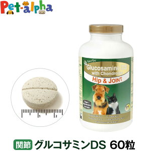 lC`[xbg ORT~DS 60(Tv  L Tvg hbO Lbg N⏕Hi Lp ybgTv Tv ֐߃T|[g Lpi)