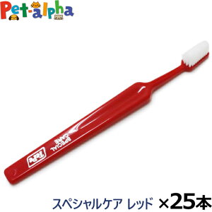 Tepe ey uV XyVPA bh×25{(/)(  nuV f^PA   ybg \h SPECIAL CARE ܂Ƃߔ)(yam)