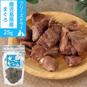  L Y Y D 񂱂ȃt[YhC Y܂ 25g  DHA EPA  gbsO Tv h{⏕ }O ci hbO hbN Lbg ybg