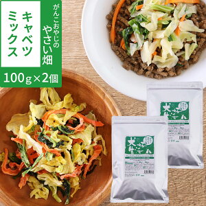  L gbsO Y D 񂱂₶̂₳ Lxc~bNX 100g  ybg ؃~bNX Â育͂ Lxc ɂ񂶂 