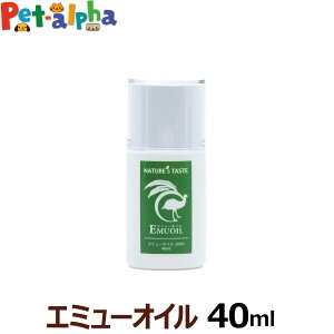 lC`[YeCXg G~[IC 40ml  L 畆 щ ֐ IC 
